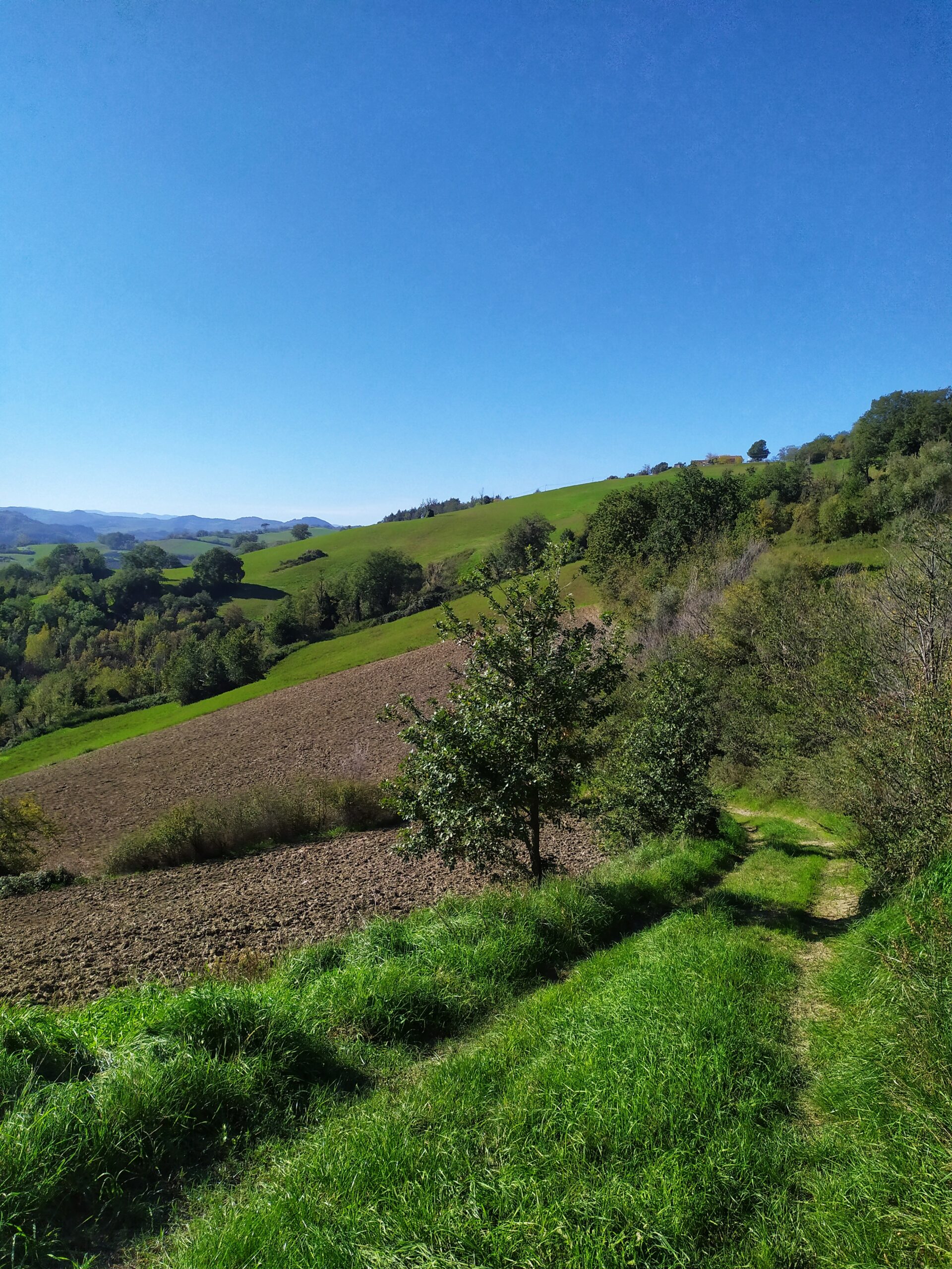 I dintorni di Sogliano